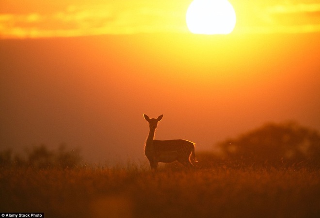 Cảnh đẹp m&ugrave;a thu nước Anh